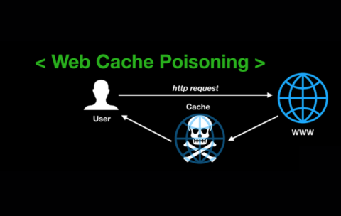 web cache poisoning